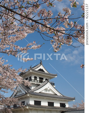 Tateyama Castle 42221137