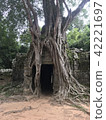 Entrance to the unknown  42221697