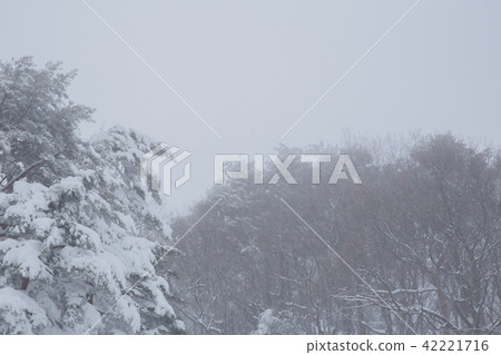 雪景 雪景 42221716