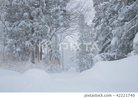 Snow scene 42221740