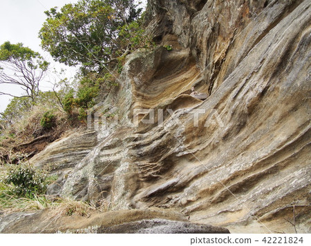 Cliff Kannon 42221824