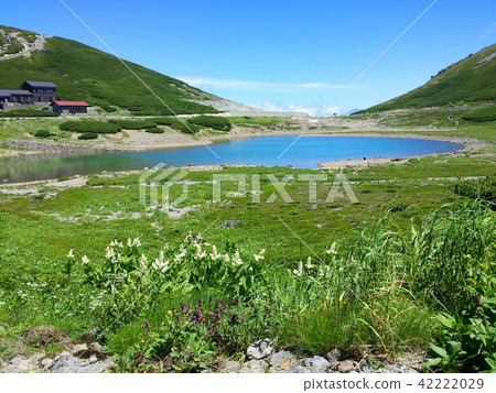 山05的自然景觀（夏季的Norikura dake） 42222029