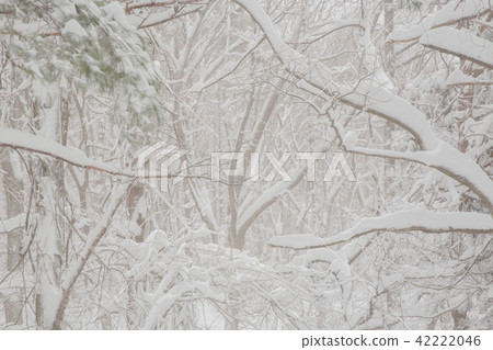 雪景 雪景 42222046