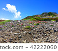 Natural landscape of mountain 05 (Norikura dake in summer) 42222060