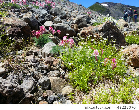 Natural landscape of mountain 06 (Norikura dake in summer) 42222076