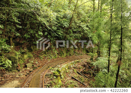 Trucko Road 42222260