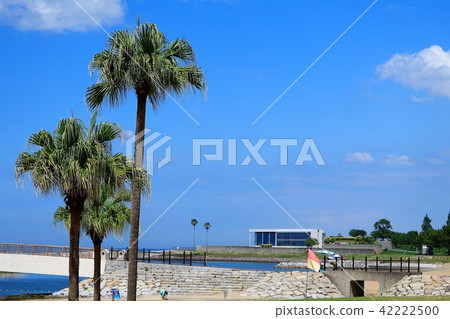 Tanoura Beach Oita 42222500