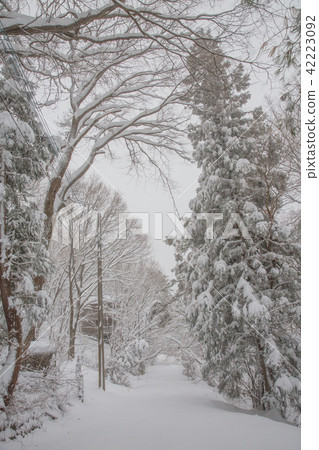 Snow scene Snow scene 42223092