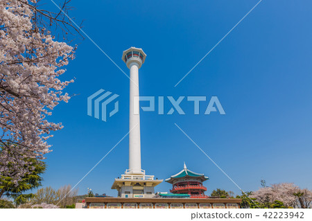Busan city with busan tower, Busan, South Korea. 42223942