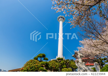 Busan city with busan tower, Busan, South Korea. 42223944
