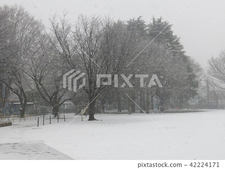武藏野雪景 武藏野雪景 42224171