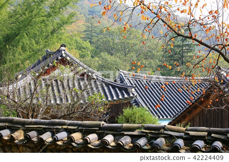 Autumn in the mountainside! Autumn in the mountainside! 42224409