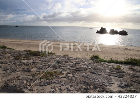 Okinawa Alaha Beach Okinawa Alaha Beach 42224827