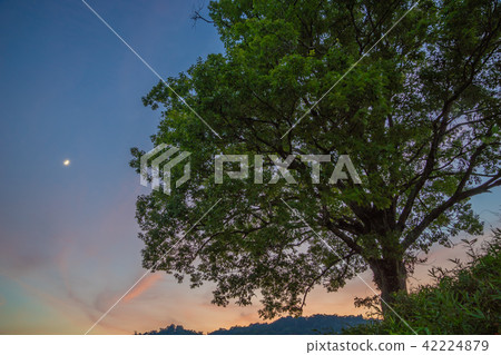 A sunset glow in Ipponi 42224879
