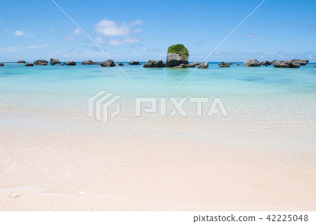 Okinawa's beach summer 42225048