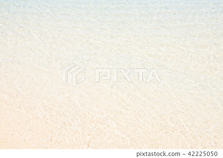 Okinawa's beach summer 42225050
