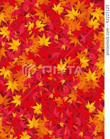 Maple Background Illustration Maple Background Illustration 42225125