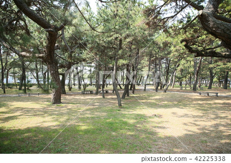舞子公園 42225338