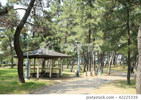 舞子公園 42225339