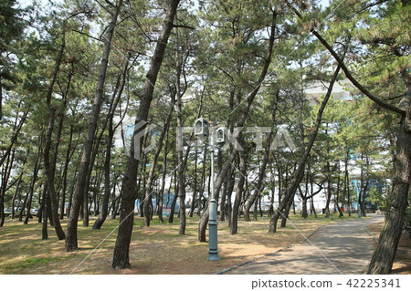 舞子公園 舞子公園 42225341