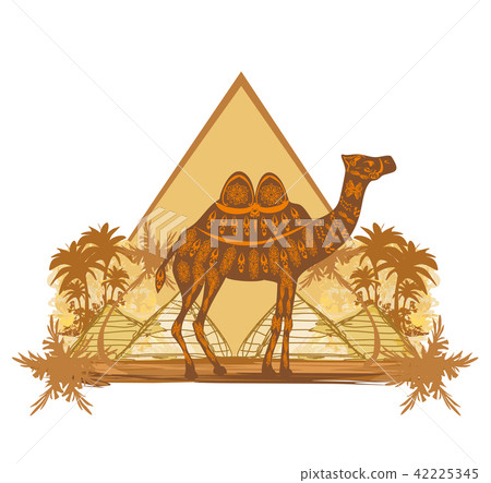 Camel in egypt desert - banner Camel in egypt desert - banner 42225345
