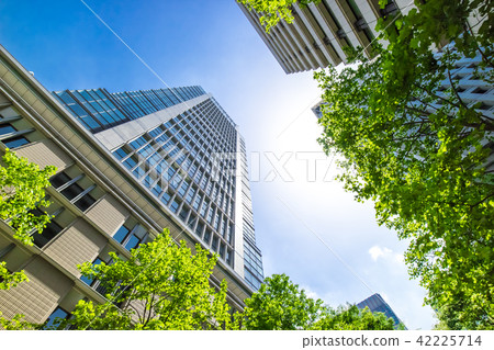 Landscape of many green office streets Landscape of many green office streets 42225714