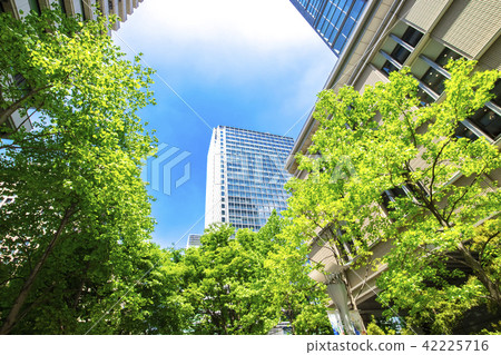 Landscape of many green office streets Landscape of many green office streets 42225716