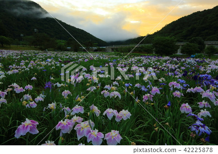 Astonishment of the morning glow Astonishment of the morning glow 42225878
