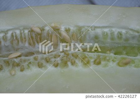 Cucumber cross section for seeds Cucumber cross section for seeds 42226127