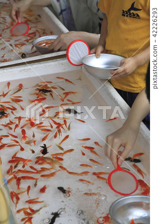 金魚舀攤位 42226293