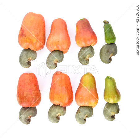 Top view of red cashew fruit on white background Top view of red cashew fruit on white background 42226916