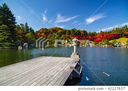 Autumn leaves of Mikihara-shi sanctuary 42227637