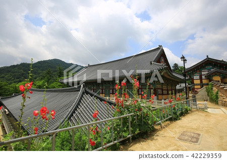 Hapcheon Haein Temple 42229359