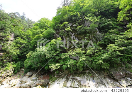 Hapcheon Haein Temple 42229395