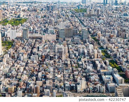 Tokyo townscape 42230747