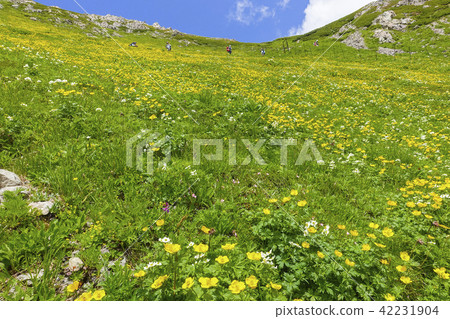 荒川花園3 荒川花園3 42231904