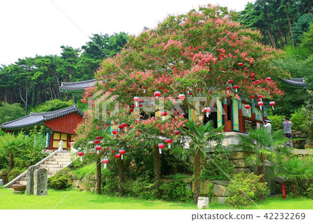 Monk's sense! Monk's sense! 42232269