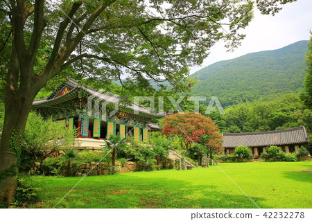 Monk's sense! Monk's sense! 42232278