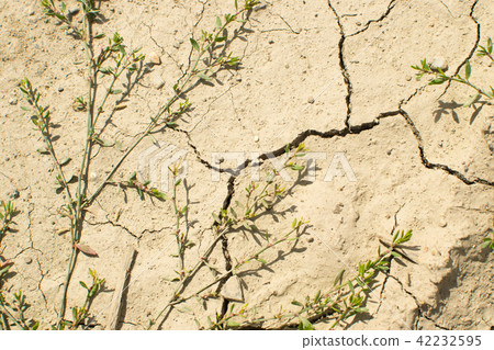Cracked Dry Earth Top View 42232595