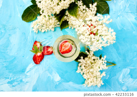 Kombucha tea with elderflower and strawberry Kombucha tea with elderflower and strawberry 42233116