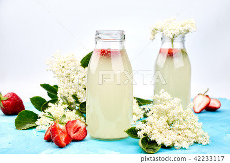 Kombucha tea with elderflower and strawberry Kombucha tea with elderflower and strawberry 42233117