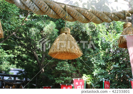 靖國神社舔 靖國神社舔 42233801