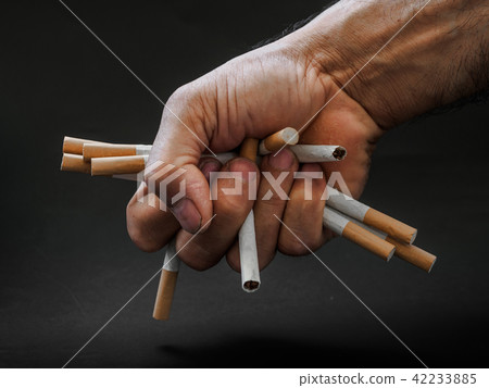 hand destroy cigarettes black background hand destroy cigarettes black background 42233885