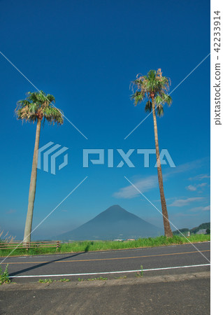 Kaidami-dake and palm 42233914