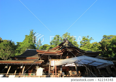 Omiwa Shrine 42234348