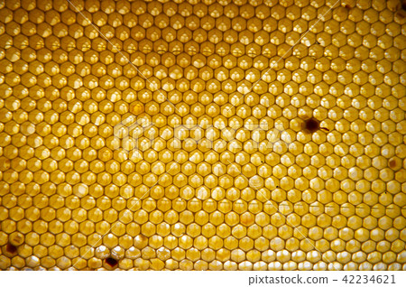 Honey comb. fragment of honeycomb, Abstract background. 42234621