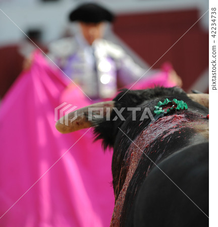 El Toro - Bullfigth corrida 42234738