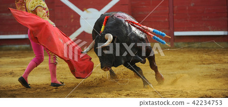 El Toro - Bullfigth corrida 42234753