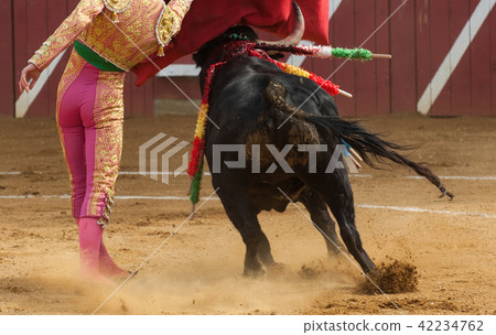 El Toro - Bullfigth corrida 42234762