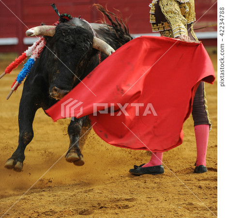 El Toro - Bullfigth corrida 42234788